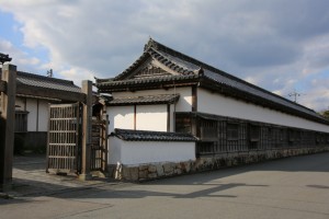 tsuwano hagi 107