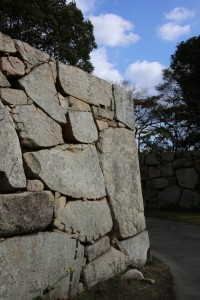 tsuwano hagi 110