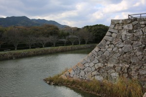 tsuwano hagi 117