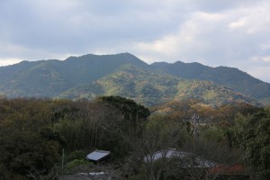 tsuwano hagi 122