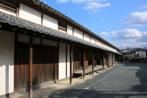 tsuwano hagi 134