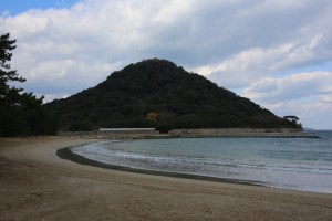 tsuwano hagi 137