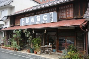 tsuwano hagi 014