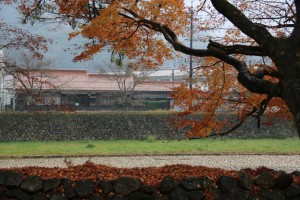 tsuwano hagi 034