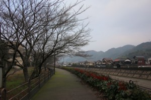tsuwano hagi 052