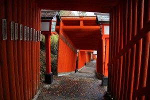 tsuwano hagi 068