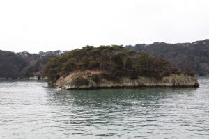 zao juhyo 088